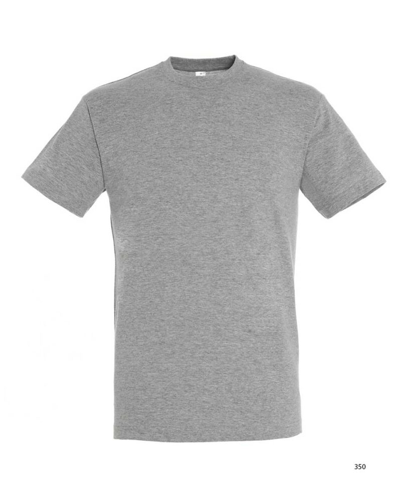 Μπλούζα Unisex grey κοντομάνικη Regent Sol's