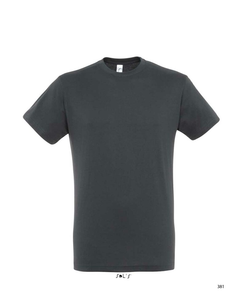 Μπλούζα Unisex mouse grey κοντομάνικη Regent Sol's